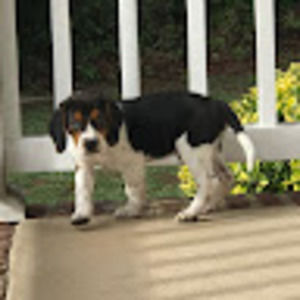 Meet your Posher, Kerry